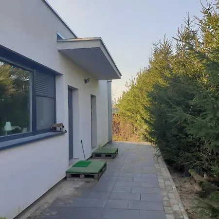 Apartament W Zieleni Do Wynajecia Blisko Jeziora Шрода-Вєлькопольска Екстер'єр фото