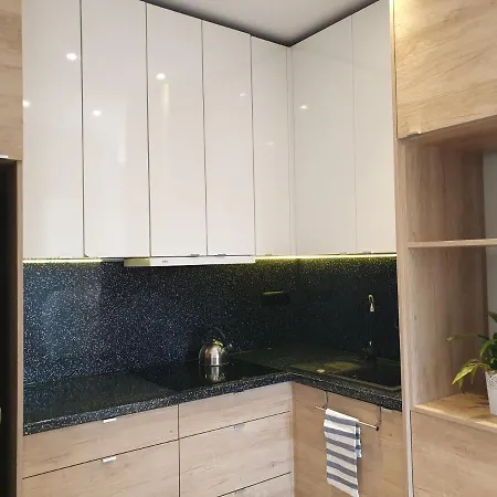 Apartament W Zieleni Do Wynajecia Blisko Jeziora Шрода-Вєлькопольска Екстер'єр фото