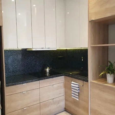 Apartament W Zieleni Do Wynajecia Blisko Jeziora Шрода-Вєлькопольска Екстер'єр фото